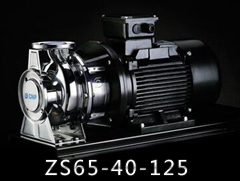 ZS65-40-125系列不锈钢卧式单级离心泵