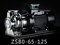 ZS80-65-125系列不锈钢卧式单级离心泵