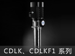 CDLK1/CDLKF1系列侵入式多级离心泵