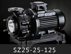 SZ25-25-125氟塑料离心泵