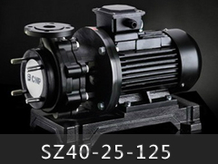 SZ40-25-125氟塑料离心泵