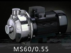 MS60/0.55不锈钢单级离心泵