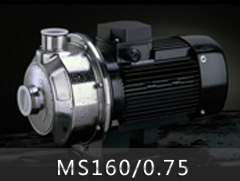 MS160/0.75不锈钢单级离心泵